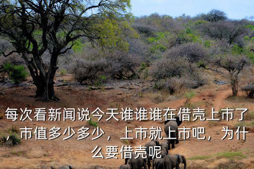 每次看新聞?wù)f今天誰誰誰在借殼上市了，市值多少多少，上市就上市吧，為什么要借殼呢