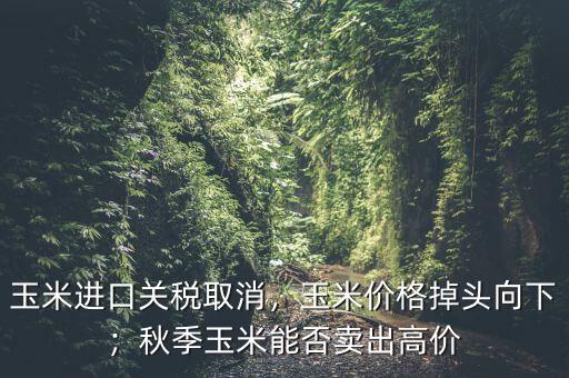 玉米進(jìn)口關(guān)稅取消，玉米價格掉頭向下；秋季玉米能否賣出高價