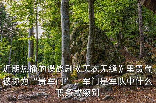 近期熱播的諜戰(zhàn)劇《天衣無(wú)縫》里貴翼被稱為“貴軍門”，軍門是軍隊(duì)中什么職務(wù)或級(jí)別