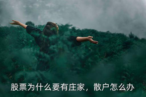 股票為什么要有莊家，散戶怎么辦