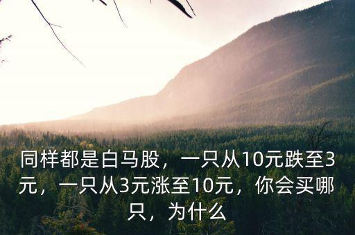 同樣都是白馬股，一只從10元跌至3元，一只從3元漲至10元，你會買哪只，為什么