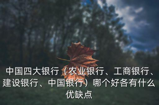 中國四大銀行（農(nóng)業(yè)銀行、工商銀行、建設(shè)銀行、中國銀行）哪個好各有什么優(yōu)缺點
