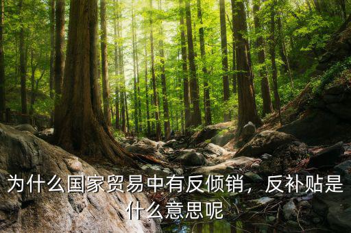 什么是反傾銷(xiāo)國(guó)家,是什么意思呢
