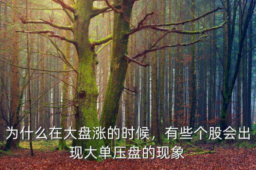 為什么在大盤(pán)漲的時(shí)候，有些個(gè)股會(huì)出現(xiàn)大單壓盤(pán)的現(xiàn)象