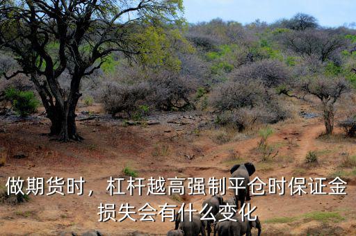 做期貨時，杠桿越高強(qiáng)制平倉時保證金損失會有什么變化