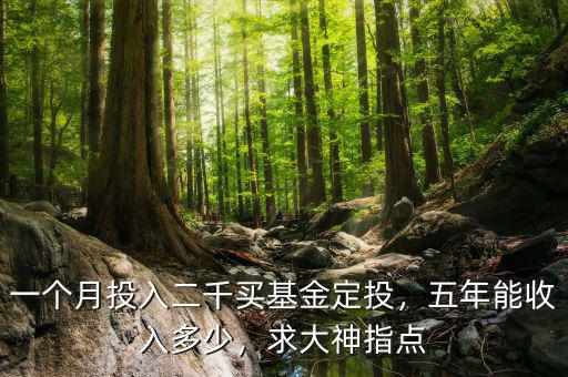 一個月投入二千買基金定投，五年能收入多少，求大神指點