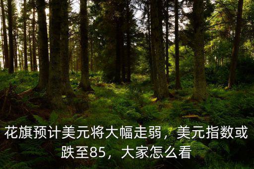 花旗預(yù)計(jì)美元將大幅走弱，美元指數(shù)或跌至85，大家怎么看