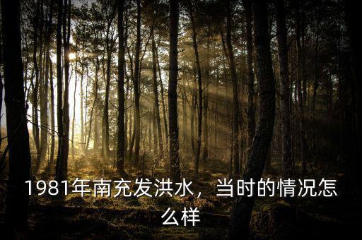1981年南充發(fā)洪水，當(dāng)時(shí)的情況怎么樣
