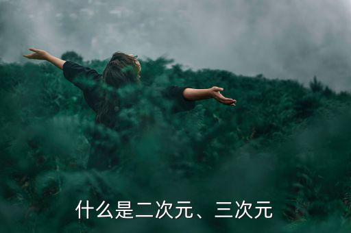 什么是二次元、三次元