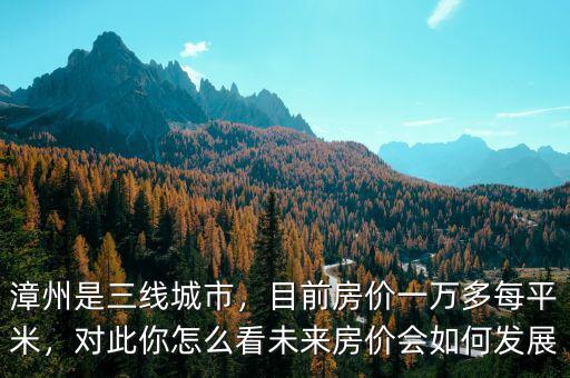 漳州是三線城市，目前房價一萬多每平米，對此你怎么看未來房價會如何發(fā)展