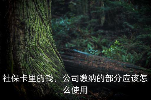 公司交的社保怎么用,社?？ɡ锏腻X
