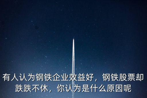有人認(rèn)為鋼鐵企業(yè)效益好，鋼鐵股票卻跌跌不休，你認(rèn)為是什么原因呢