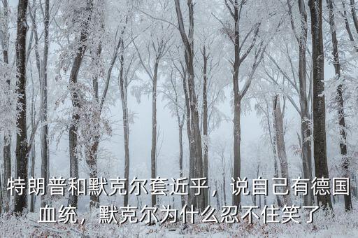 特朗普和默克爾套近乎，說自己有德國血統(tǒng)，默克爾為什么忍不住笑了