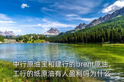 中行原油寶和建行的brent原油，工行的紙?jiān)陀腥擞麊釣槭裁? class=