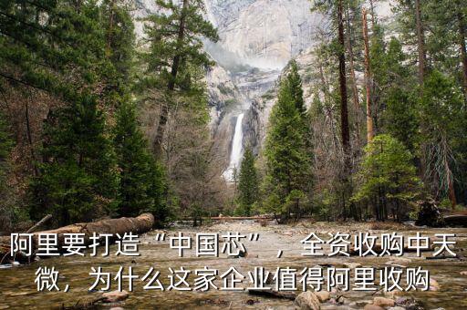 阿里要打造“中國芯”，全資收購中天微，為什么這家企業(yè)值得阿里收購