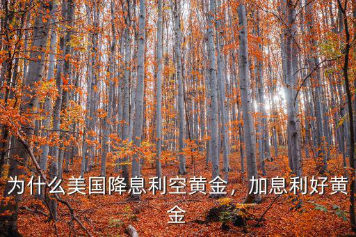 為什么美國(guó)降息利空黃金，加息利好黃金