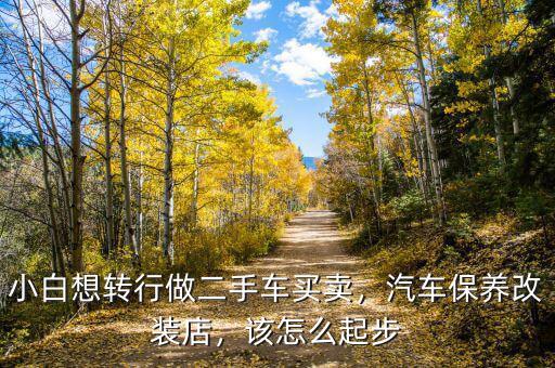 小白想轉(zhuǎn)行做二手車買賣，汽車保養(yǎng)改裝店，該怎么起步
