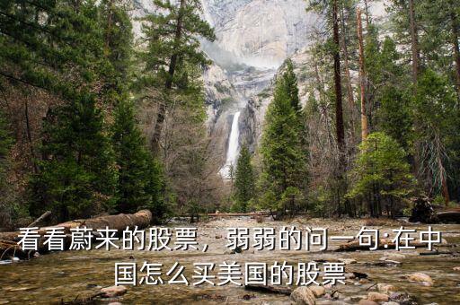 看看蔚來(lái)的股票，弱弱的問(wèn)一句:在中國(guó)怎么買(mǎi)美國(guó)的股票