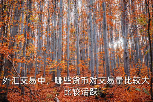 外匯交易中，哪些貨幣對交易量比較大，比較活躍