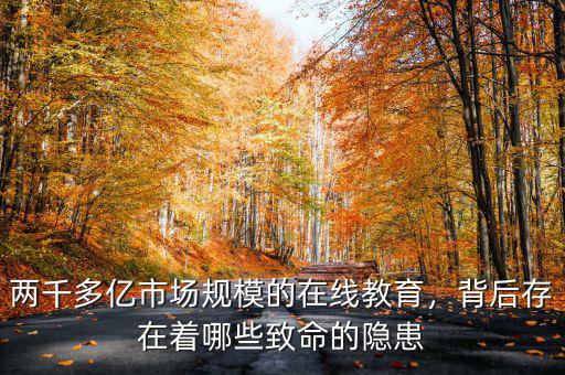 兩千多億市場(chǎng)規(guī)模的在線教育，背后存在著哪些致命的隱患