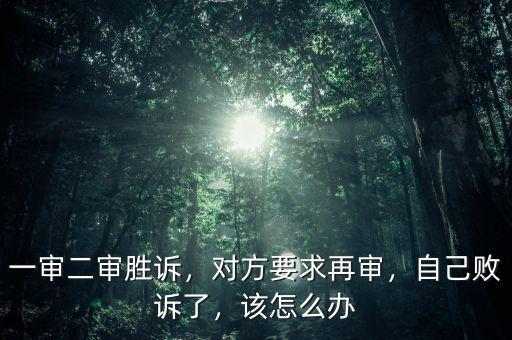 一審二審勝訴，對方要求再審，自己敗訴了，該怎么辦