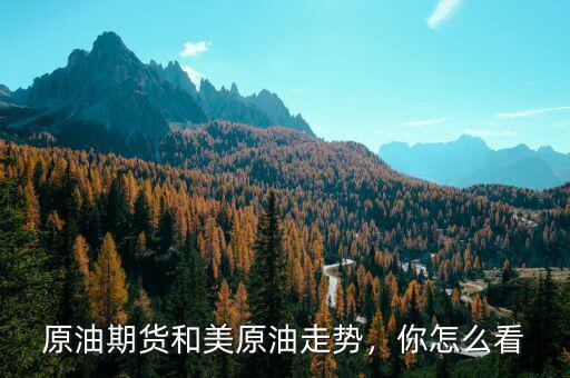 原油期貨和美原油走勢，你怎么看