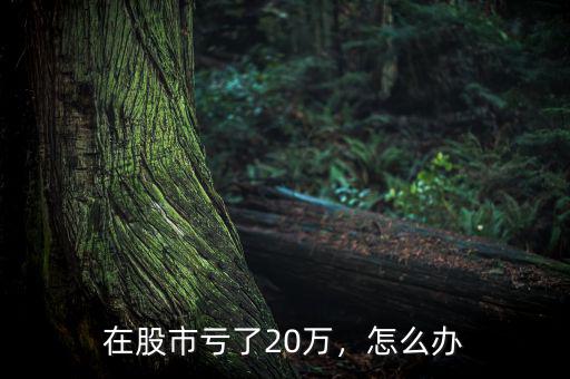 在股市虧了20萬，怎么辦