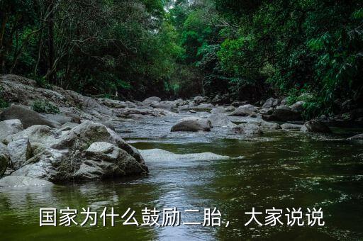 國(guó)家為什么鼓勵(lì)二胎，大家說(shuō)說(shuō)