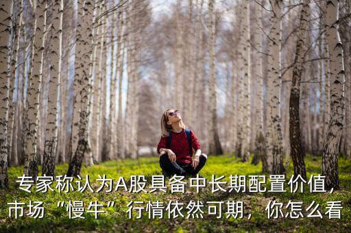 專家稱認(rèn)為A股具備中長期配置價值，市場“慢?！毙星橐廊豢善冢阍趺纯? class=