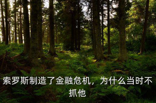 索羅斯制造了金融危機(jī)，為什么當(dāng)時不抓他
