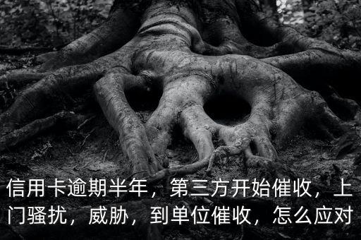 信用卡逾期半年，第三方開始催收，上門騷擾，威脅，到單位催收，怎么應對