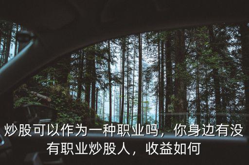 炒股可以作為一種職業(yè)嗎，你身邊有沒有職業(yè)炒股人，收益如何