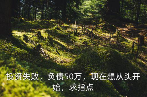 投資失敗，負(fù)債50萬，現(xiàn)在想從頭開始，求指點(diǎn)