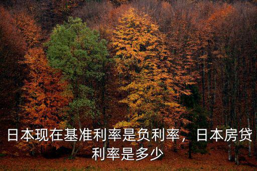 日本現(xiàn)在基準(zhǔn)利率是負(fù)利率，日本房貸利率是多少