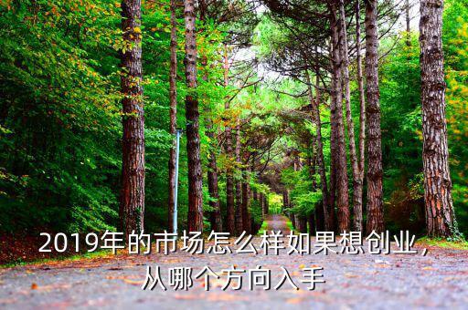 2019年的市場(chǎng)怎么樣如果想創(chuàng)業(yè)，從哪個(gè)方向入手