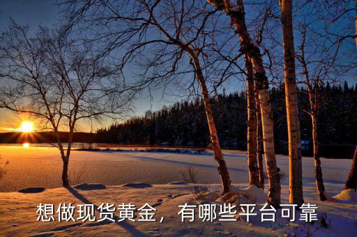 想做現(xiàn)貨黃金，有哪些平臺(tái)可靠
