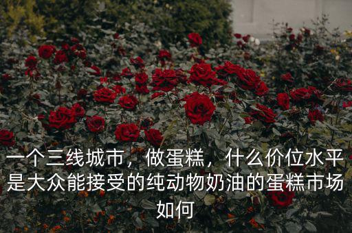 一個三線城市，做蛋糕，什么價位水平是大眾能接受的純動物奶油的蛋糕市場如何
