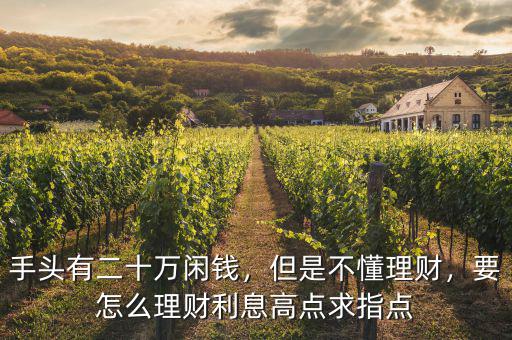 手頭有二十萬閑錢，但是不懂理財，要怎么理財利息高點求指點