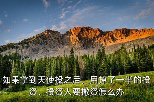 如果拿到天使投之后，用掉了一半的投資，投資人要撤資怎么辦