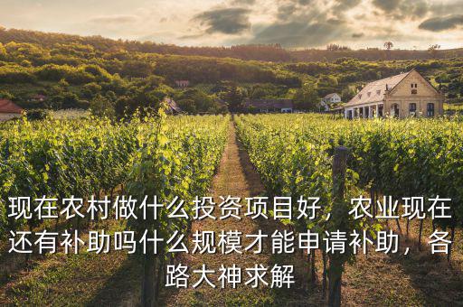 現(xiàn)在農(nóng)村做什么投資項目好，農(nóng)業(yè)現(xiàn)在還有補助嗎什么規(guī)模才能申請補助，各路大神求解