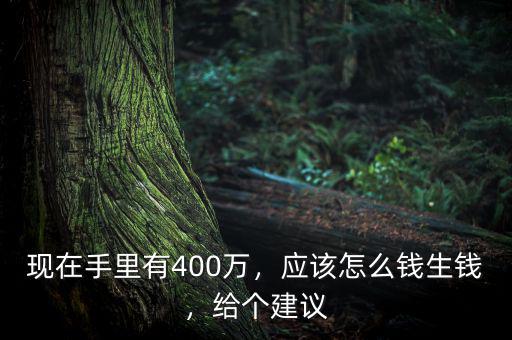 現(xiàn)在手里有400萬(wàn)，應(yīng)該怎么錢(qián)生錢(qián)，給個(gè)建議