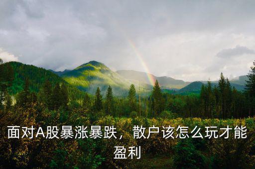 面對(duì)A股暴漲暴跌，散戶該怎么玩才能盈利