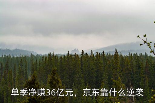 單季凈賺36億元，京東靠什么逆襲