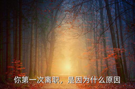 你第一次離職，是因?yàn)槭裁丛? class=