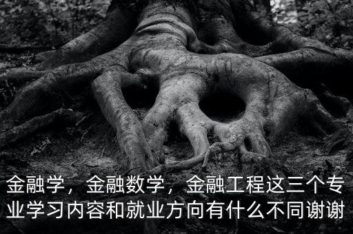 金融學(xué)，金融數(shù)學(xué)，金融工程這三個專業(yè)學(xué)習(xí)內(nèi)容和就業(yè)方向有什么不同謝謝