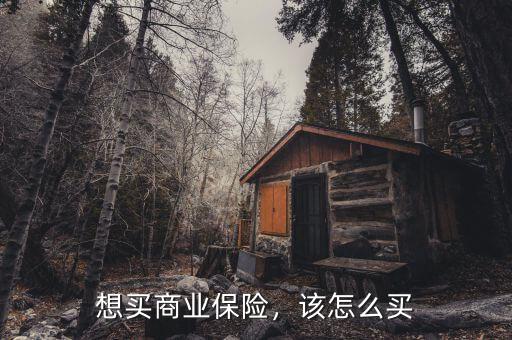 想買商業(yè)保險，該怎么買