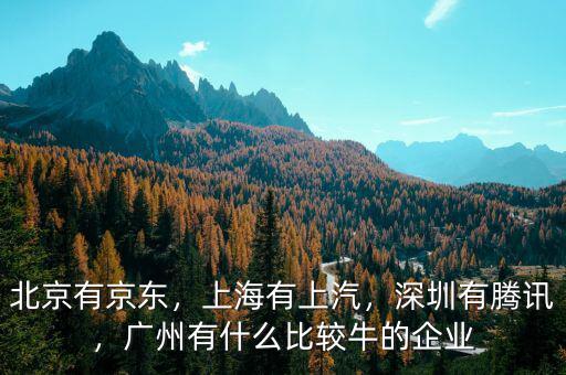 北京有京東，上海有上汽，深圳有騰訊，廣州有什么比較牛的企業(yè)