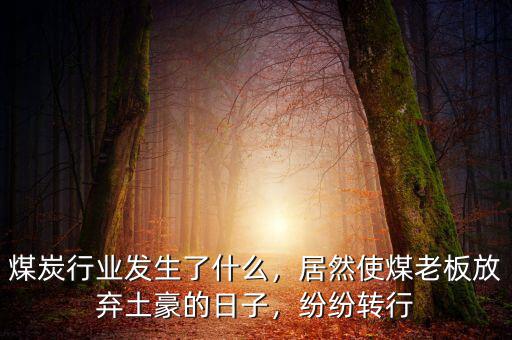 煤炭行業(yè)發(fā)生了什么，居然使煤老板放棄土豪的日子，紛紛轉(zhuǎn)行