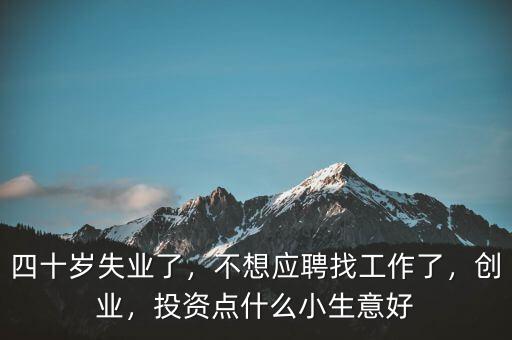 四十歲失業(yè)了，不想應聘找工作了，創(chuàng)業(yè)，投資點什么小生意好
