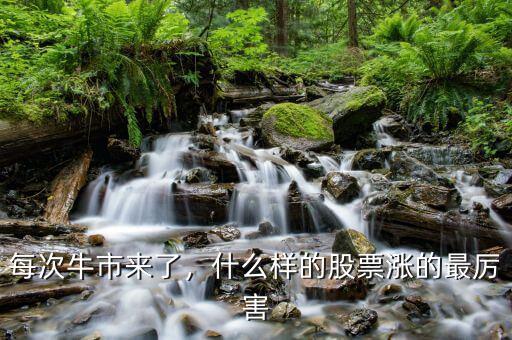 每次牛市來了，什么樣的股票漲的最厲害